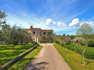 Apartments Tea 944 - 7