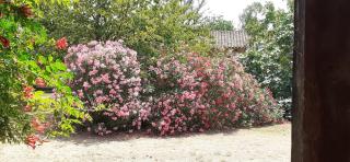 Domaine Agricole de Labarthe - 7