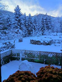 Il Ciliegio di Lurisia - 5