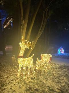 Ferienhaus Elbharmonie - Hunde willkommen, Garten vollständig umzäunt, Pool, Kamin und Spielzimmer - super für Familientreffen - 5