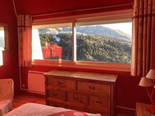 Appartement esprit montagne - 7