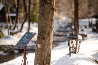 Voevodyno Resort - 4