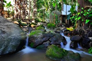 อิงเหนือ โฮมสเตย์ - 3