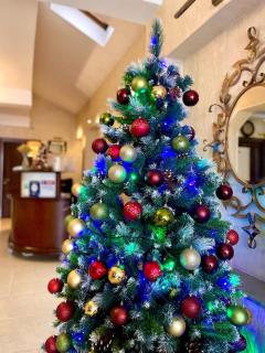 Pensiunea Junior - 0