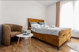 Penthouse Danube Exclusive, Parking, 90m2, Wifi - 1