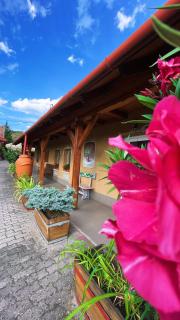 Vadvirág Vendéglő és Fogadó - 1