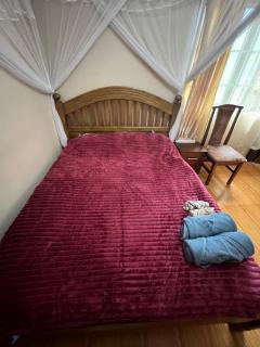 house with a garden - 5