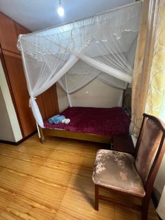 house with a garden - 4