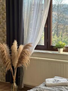 Apartament Gór-SKI - 2