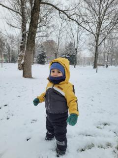 Cabana lui Foardă - 4