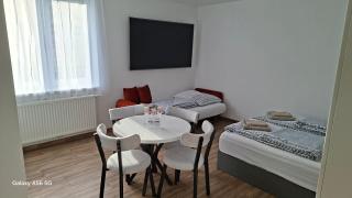 Lenkev Living Aparts, Free Parking! - Vienne - 4