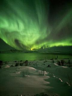 Lovely Cabin Amidst Bustling Wildlife - 6