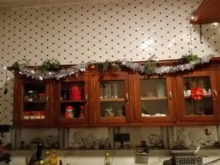 Kandy Apartment Oak - 3