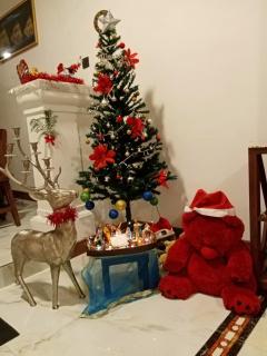 Kandy Apartment Oak - 2