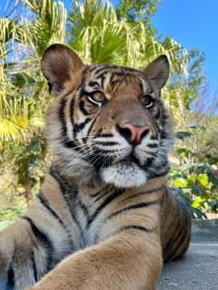 The Arches- Beautiful 3-Bedroom Family Stay Near Adelaide Oval, City Events and Amazing Dining - 4