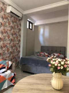 good house sameba - 9