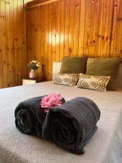 Cabaña cajón del maipo chercán - 2