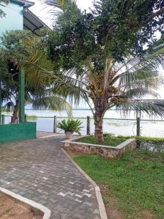 yala treetop lake - 2