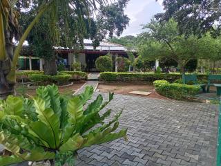 yala treetop lake - 3