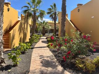 Oasis Papagayo Relax - 9