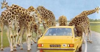 Luxe Studiomuseumgebiedeftelinguvt - 9