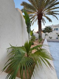 Villa Djerba Tourist Area - 2