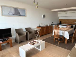 BEL AIR HOLIDAY - Spacious Apartment with Stunning Sea View and Terrace T15 - Ostend - 6
