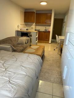 Hermoso monoambiente Pocitos - 9