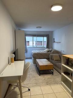 Hermoso monoambiente Pocitos - 5