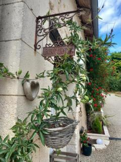 Les Gîtes de La Treille - 5