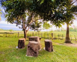 Dairy Farm Cottage Weerawila - 9