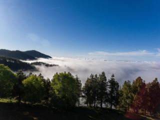 DunaFlor Verde Sunny Bungalow - 2