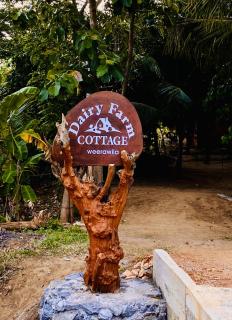 Dairy Farm Cottage Weerawila - 7