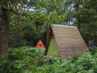 Westacre Bradmoor & 4 Ton - 8