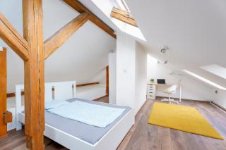 Sokol House New Town - 3