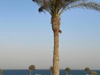 فيلا شيرى - العين السخنة - ستيلا دى مارى - سى فيو - 4