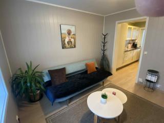 Sentralt leilighet - 9