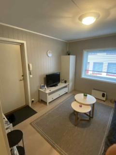 Sentralt leilighet - 8