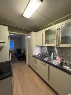 Sentralt leilighet - 4