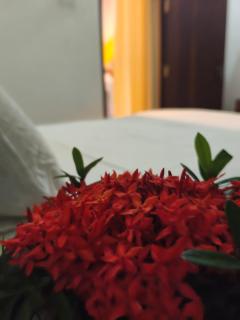 Villa Rest Haven - 4