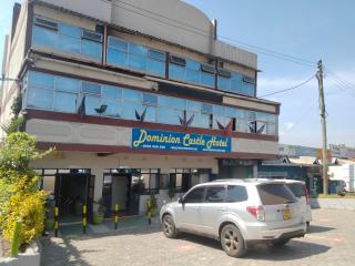 Dominion castle hotel - 8