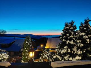 Alpina Löwen Hotel - 7