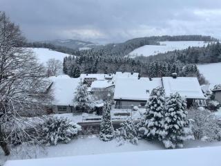 Alpina Löwen Hotel - 2