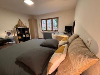 Suite privée indépendante avec sauna et jardin - 9