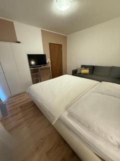 Apartmány ZELENÝ DOM - Podhájska - 8
