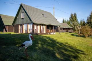 ANJ Bebru Nams - Beaver Lodge - 8