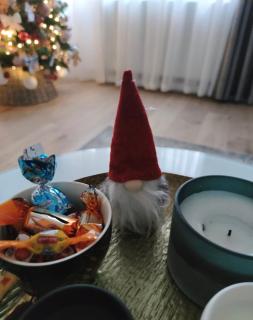 Lumani Apartment Zagreb with FREE Parking - 6