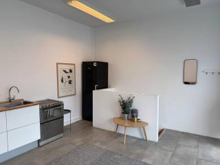 lovely copenahgen apt - 3