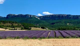 Le verger de Génas - 1