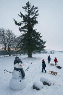 The Doune, Luxury Traditional Country House with hot tub - 1